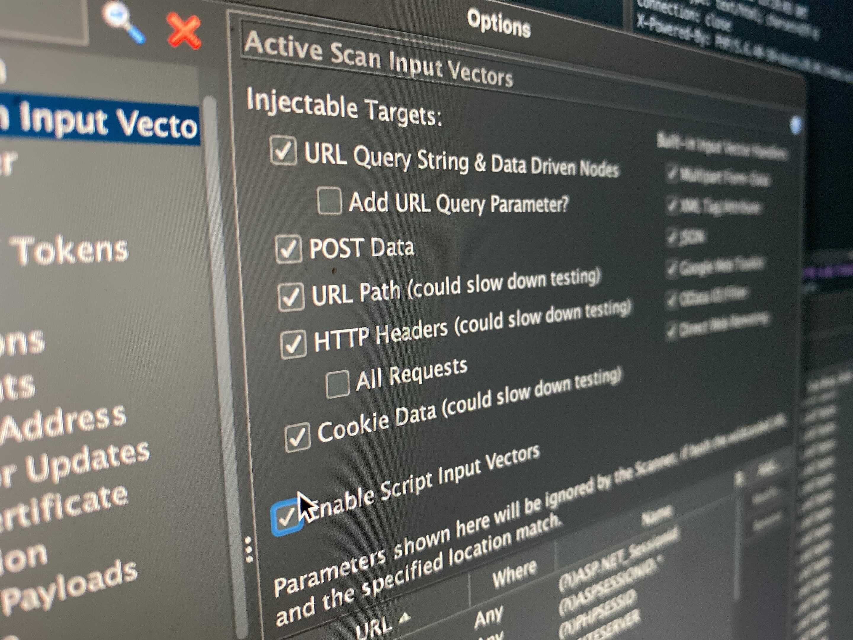 Featured image of post How to set ZAP active scan input vector in daemon mode