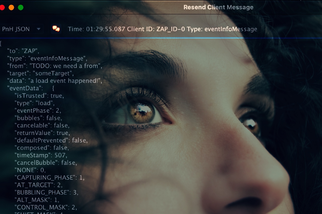 Featured image of post ZAP Plug-n-Hack์ ์ด์ฉํ DOM/PostMessage ๋ถ์