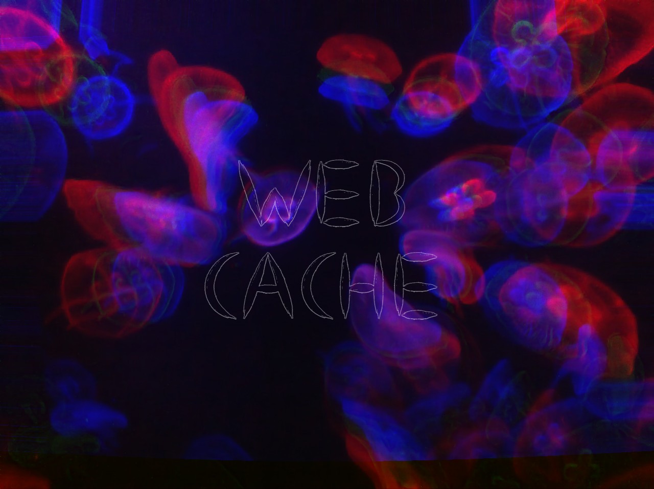 Featured image of post Web Cache ์ทจ์ฝ์ ๋ค์ ์ค์บ๋ํ์ ๐ญ