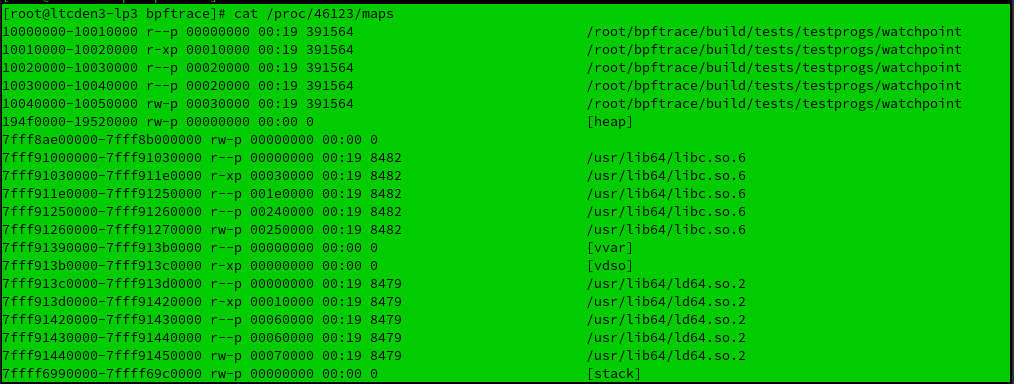 Watchpoint test failing for absolute_address 0x10000000 on ppc64le ...