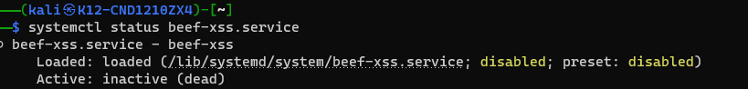 Problem launching beef it seems · Issue #2844 · beefproject/beef · GitHub