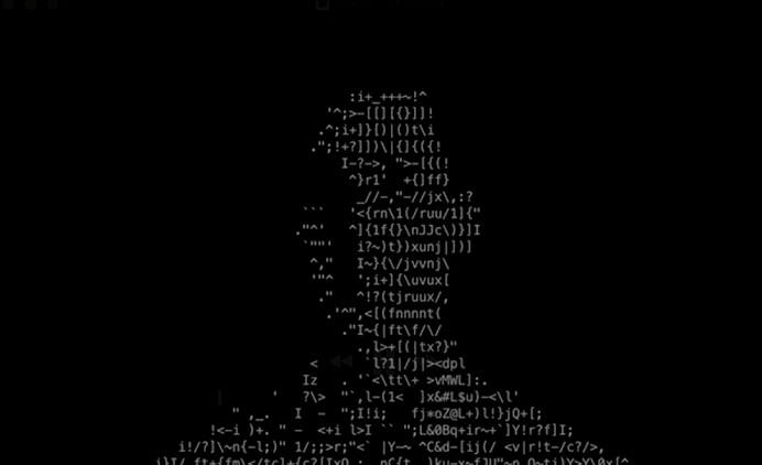 ascii_video