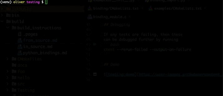 testing_demo