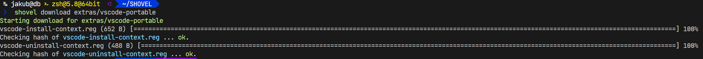 vscode-portable@1.55.0: download via aria2 failed · Issue #5977 ...