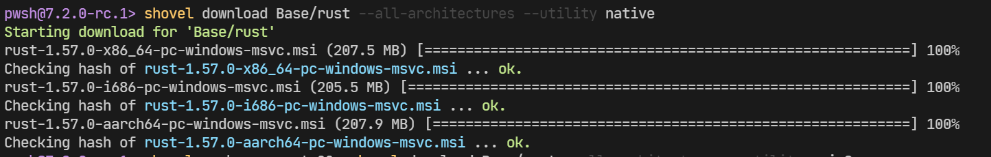 rust@1.57.0: Download via aria2 failed · Issue #41 · shovel-org/Base ...