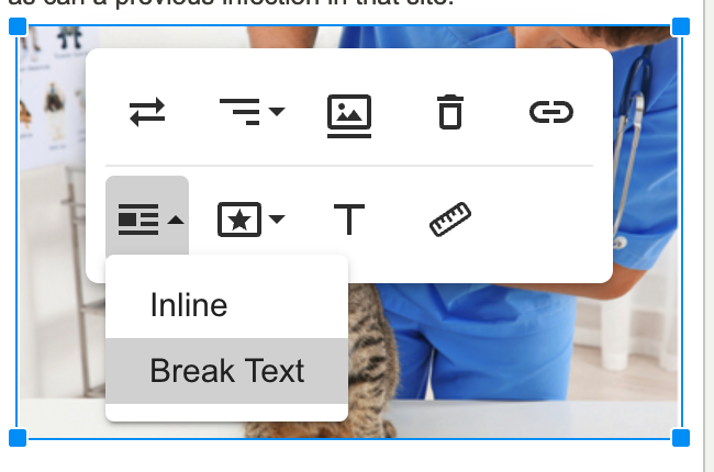 Image panel Display drop down always shows Break Text · Issue #4625 ...