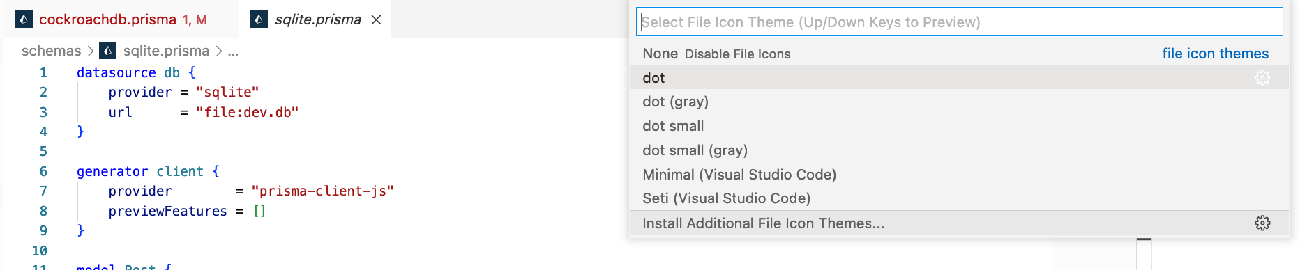 feat: custom icon for .prisma files by Druue · Pull Request #1263 ...