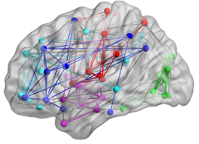 Add brain connectome plot · Issue #4 · michaelhallquist/ggbrain · GitHub