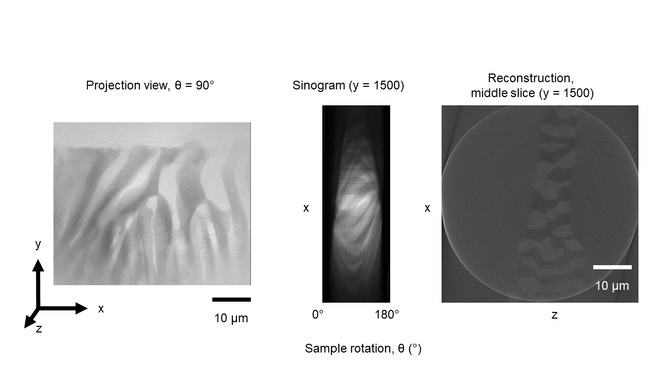 GitHub shahaniRG/Intrototomographyanalysis Guide and codes for