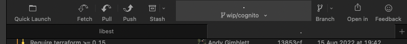 Tabs no longer show repo name when opened from terminal · Issue #1708 ...