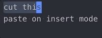 vscode-vim-paste-register-bug