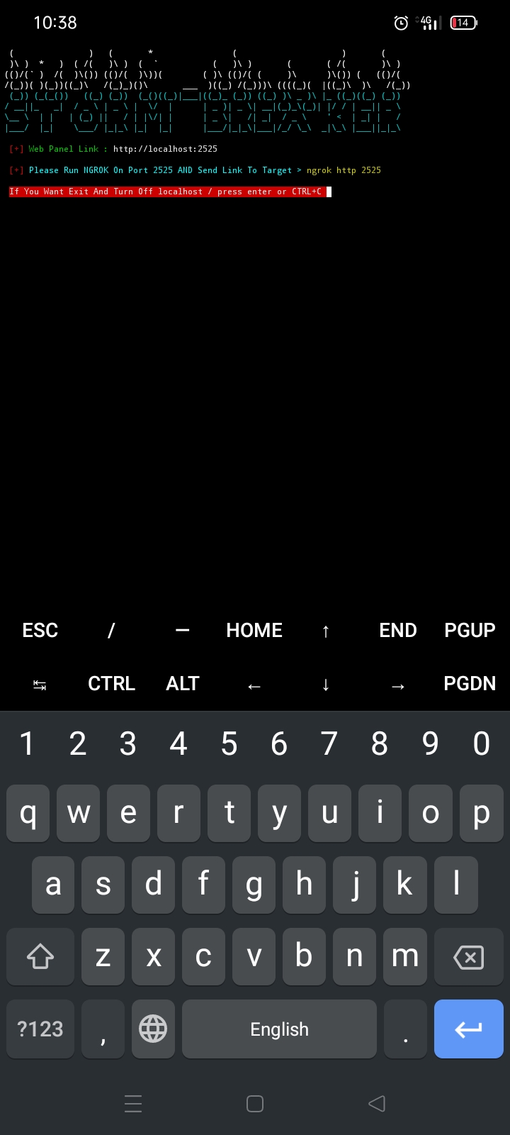 Issue in StormBreaker with Ngrok · Issue 255 · ultrasecurity/Storm