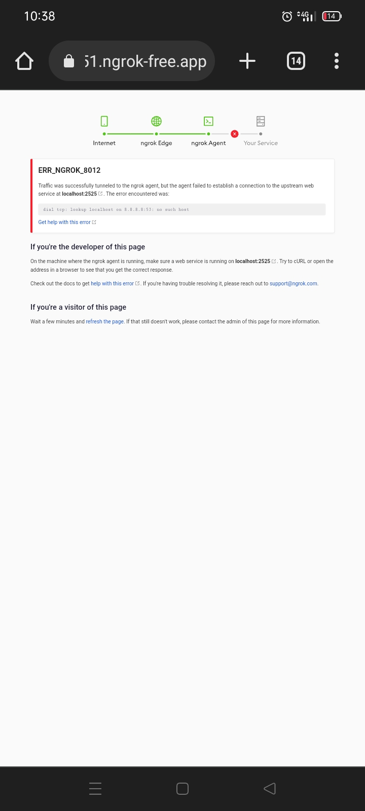 Issue in StormBreaker with Ngrok · Issue 255 · ultrasecurity/Storm