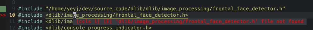 Example: davisking/dlib · Issue #506 · MaskRay/ccls · GitHub