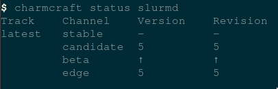 slurmd