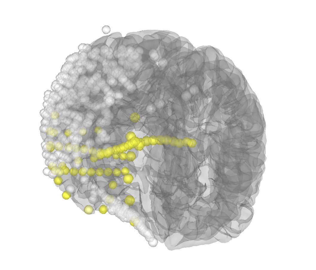 Screen Shot 2021-10-01 at 5 17 13 PM