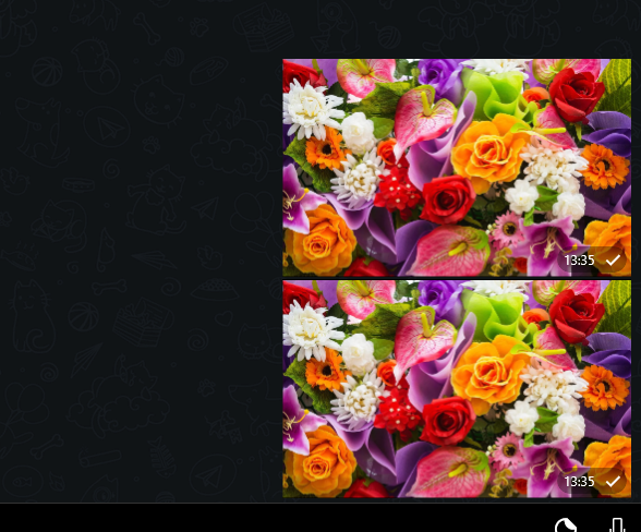 Wrong images presentation · Issue #493 · UnigramDev/Unigram · GitHub