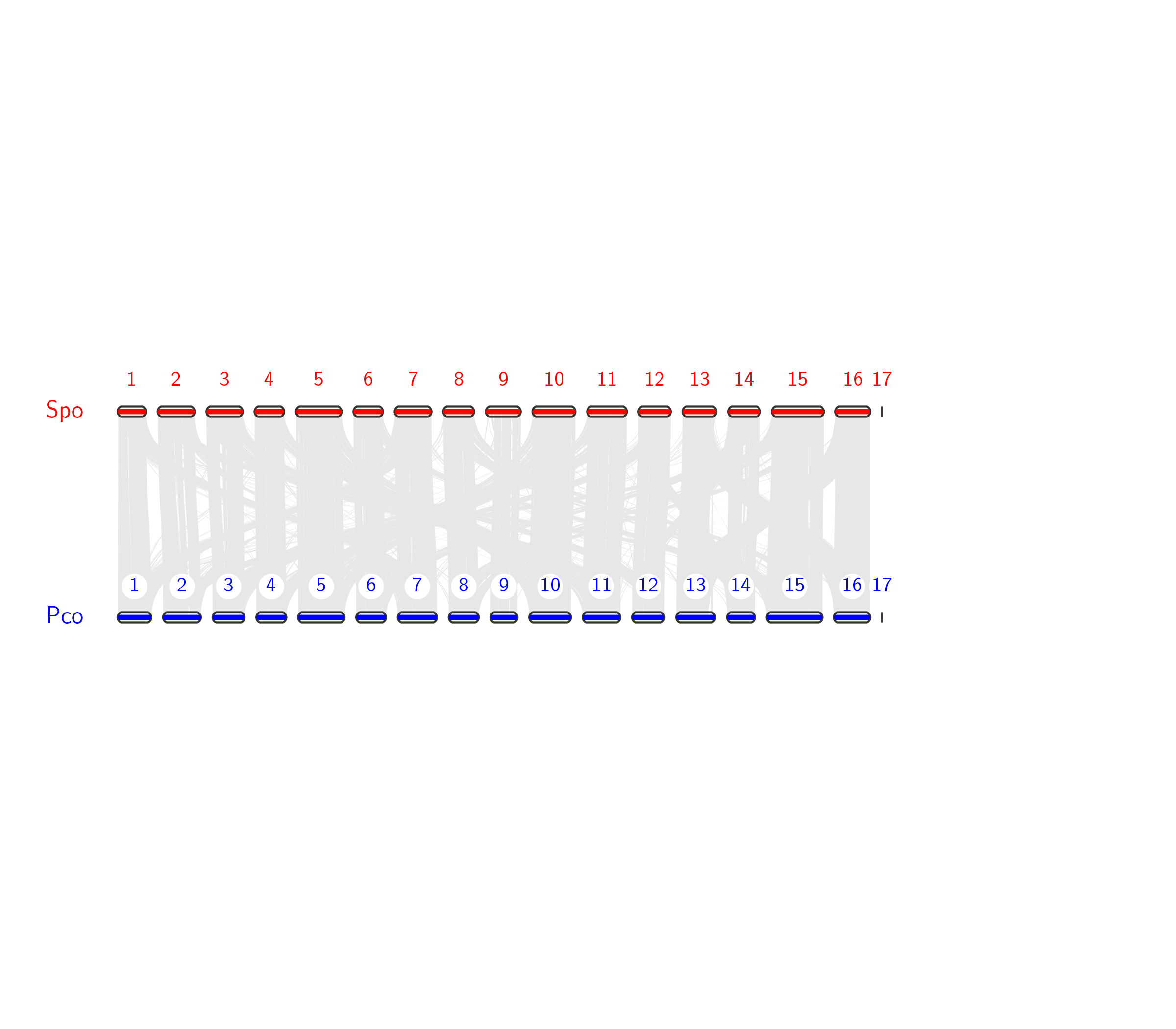 visualization Error in run jcvi.graphics.karyotype · Issue #335 ...