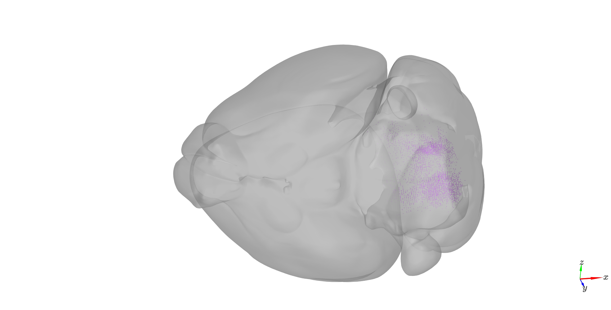 Rendering style · Issue #90 · brainglobe/brainrender · GitHub
