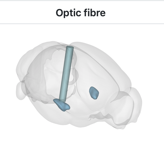 Rendering style · Issue #90 · brainglobe/brainrender · GitHub