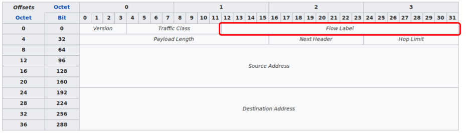 IPv6 header