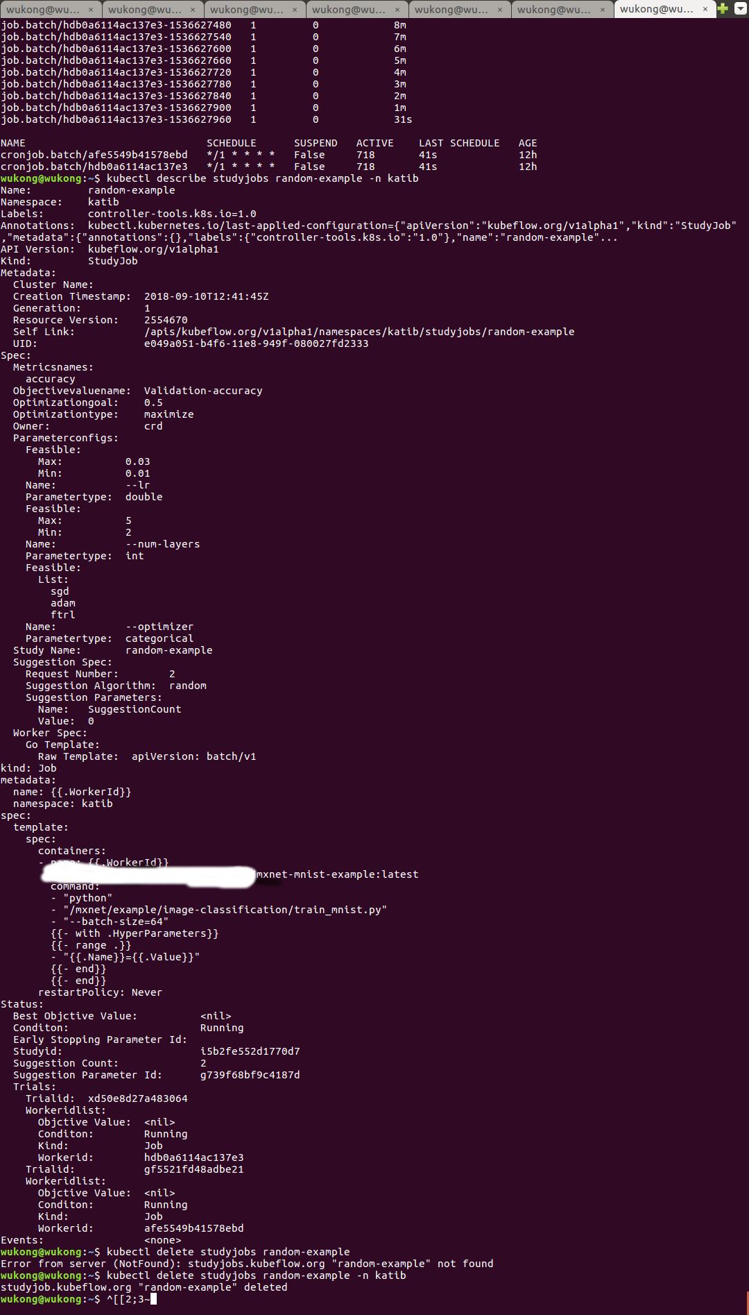 the error about random-example · Issue #165 · kubeflow/katib · GitHub