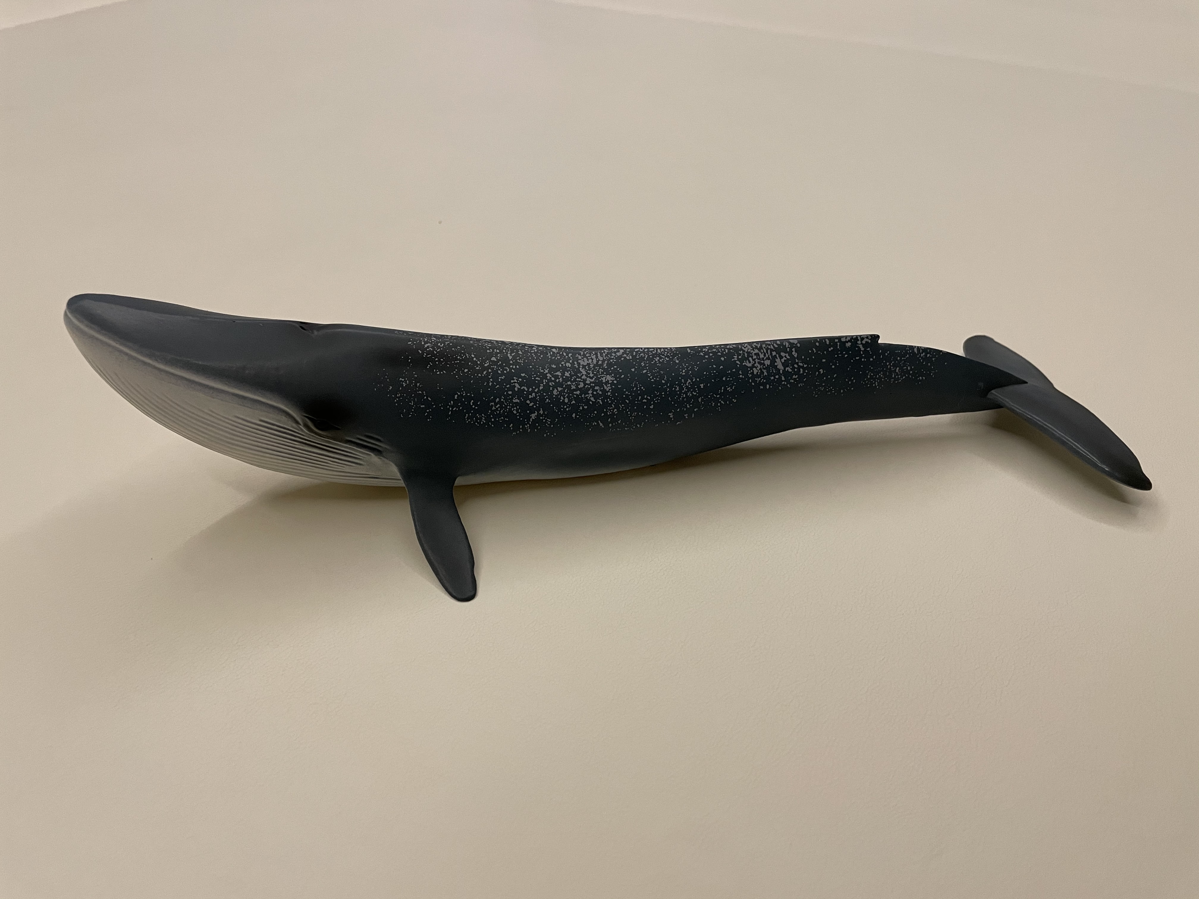 blueWhaleFigure