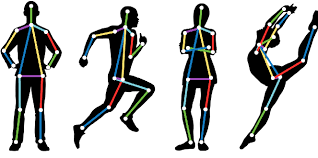 GitHub - ChidimmaIdika/Pose_Detection_Project: This project explores ...