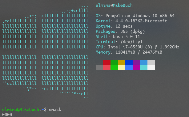 WindowsTerminal_vIWD7iN3Ns