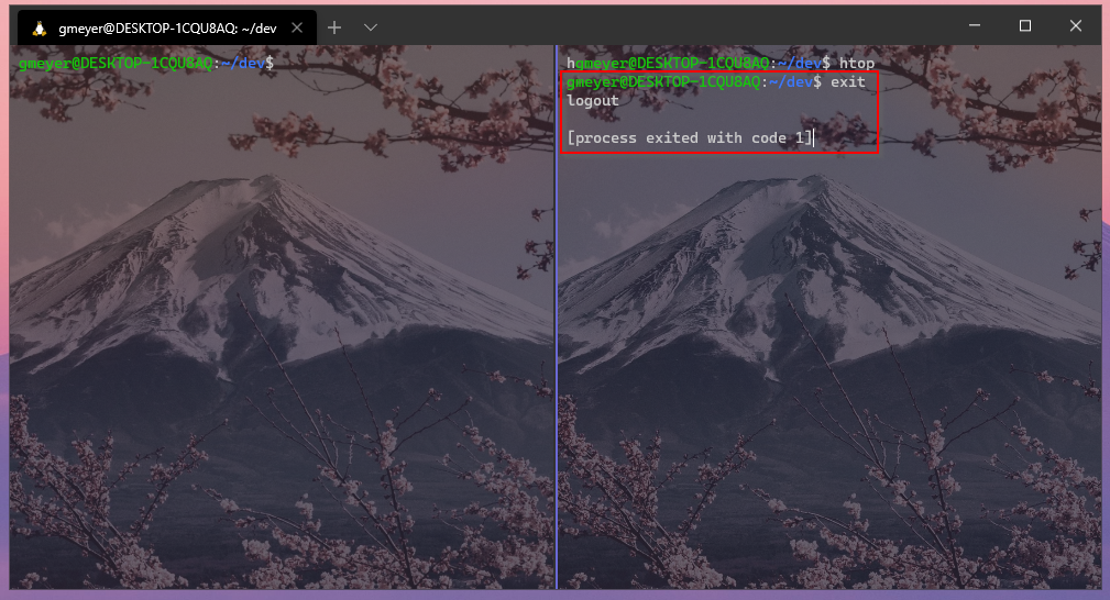Exit code 1 when exiting an Ubuntu multiplexed pane · Issue 6614