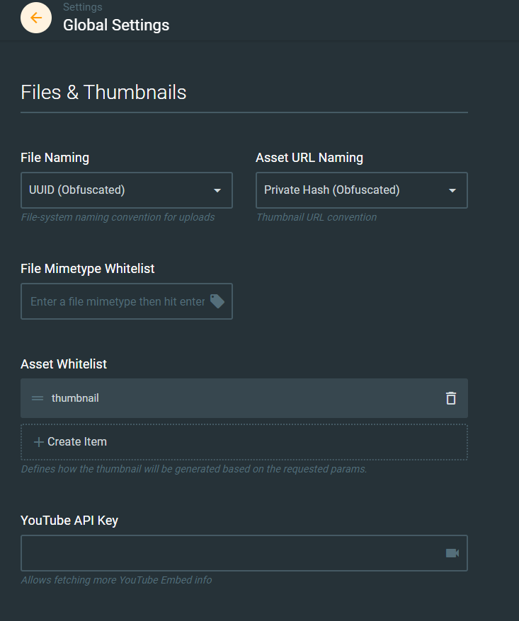 Option Files & Thumbnails Broken · Issue #2604 · directus/directus · GitHub