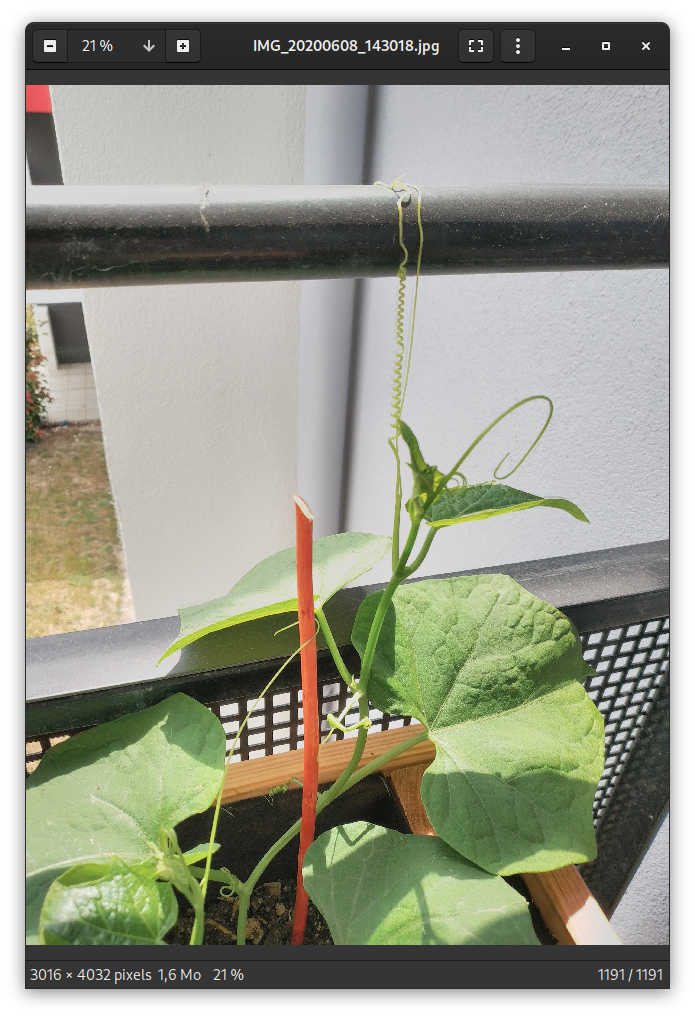 Capture d’écran de 2020-06-15 13-50-47