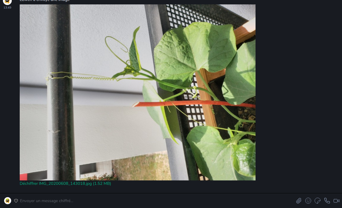 Capture d’écran de 2020-06-15 13-53-14