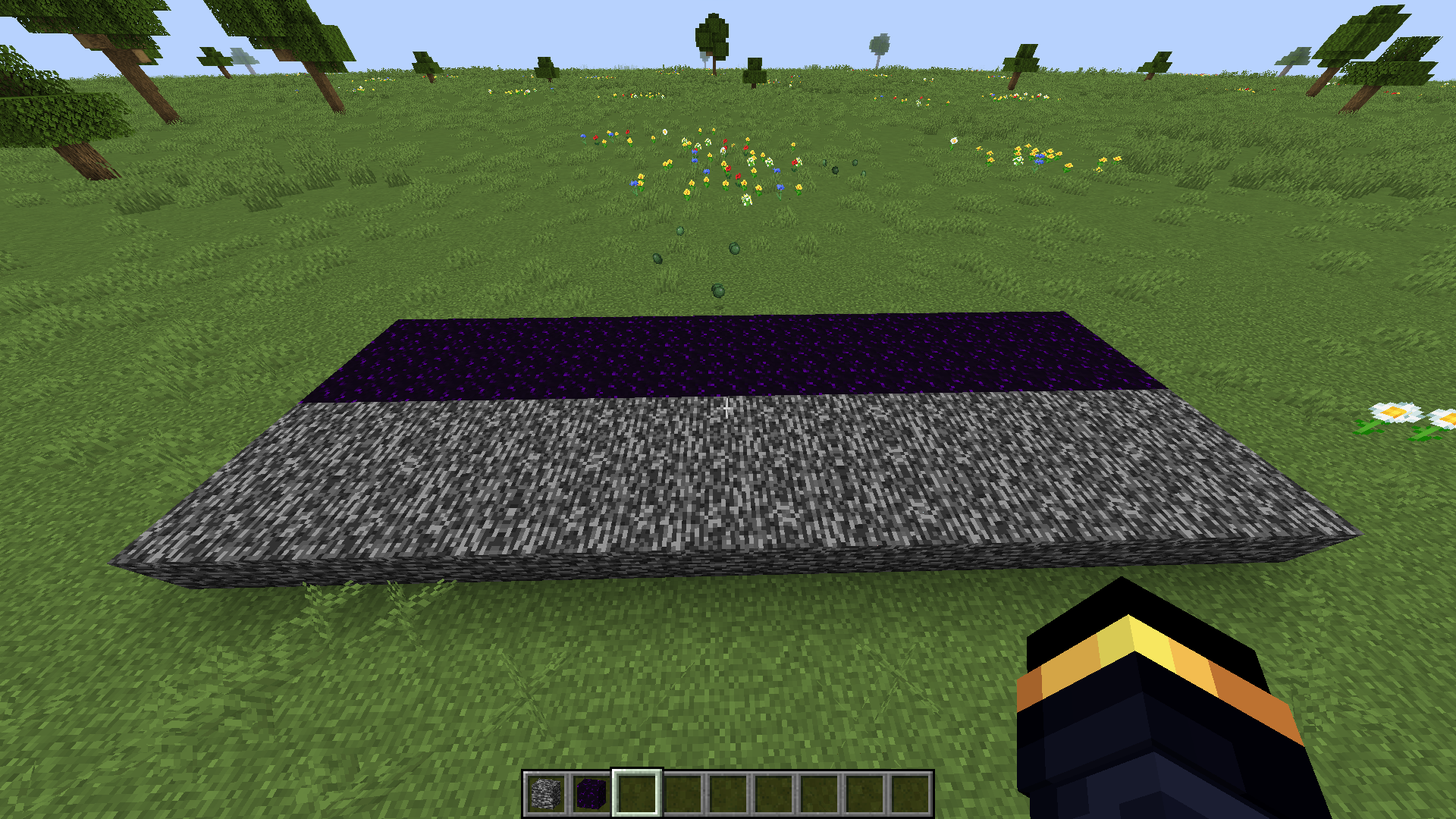 What Blocks Can The Ender Dragon Break at Kathleen Kyte blog