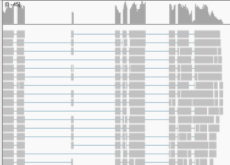 Braker error · Issue #69 · CompSynBioLab-KoreaUniv/FunGAP · GitHub