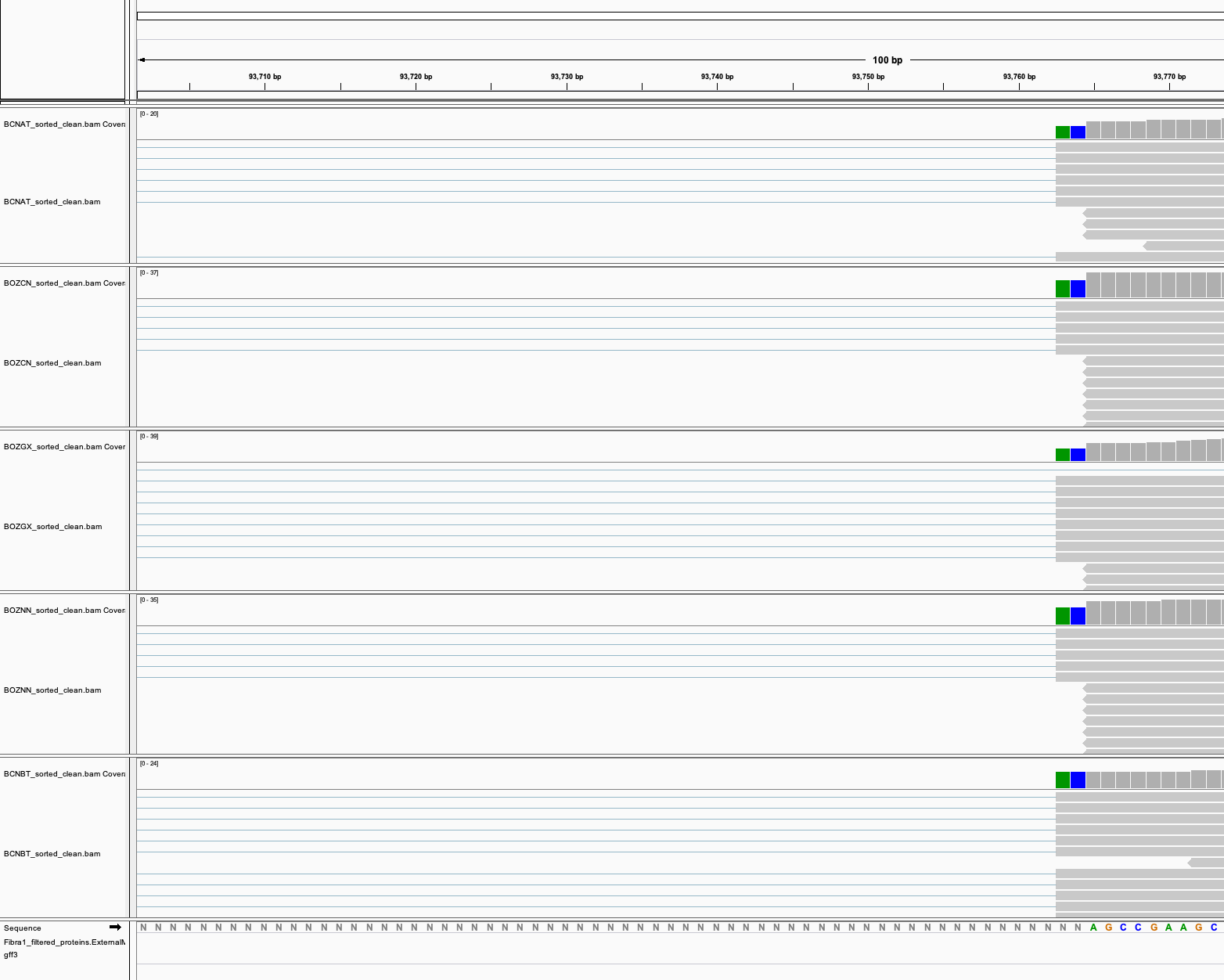 JACUSA running wrong · Issue #27 · dieterich-lab/JACUSA · GitHub