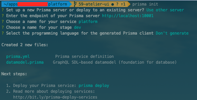 prisma cli v1.34.1 does not introspect on init · Issue #111 · prisma ...