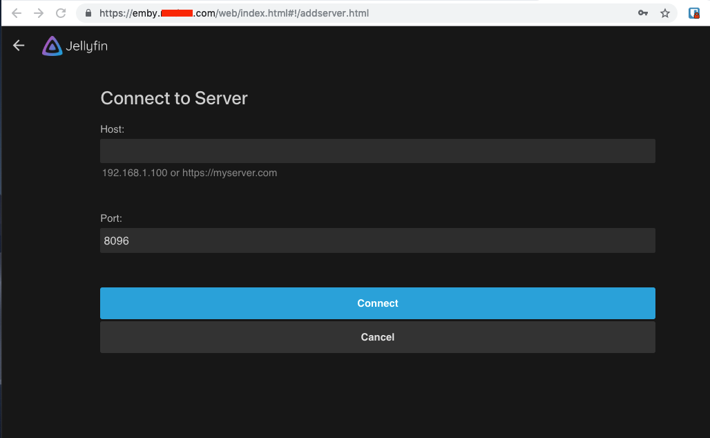 [Issue] IPv4 IP access to Jellyfin that is not defined on the