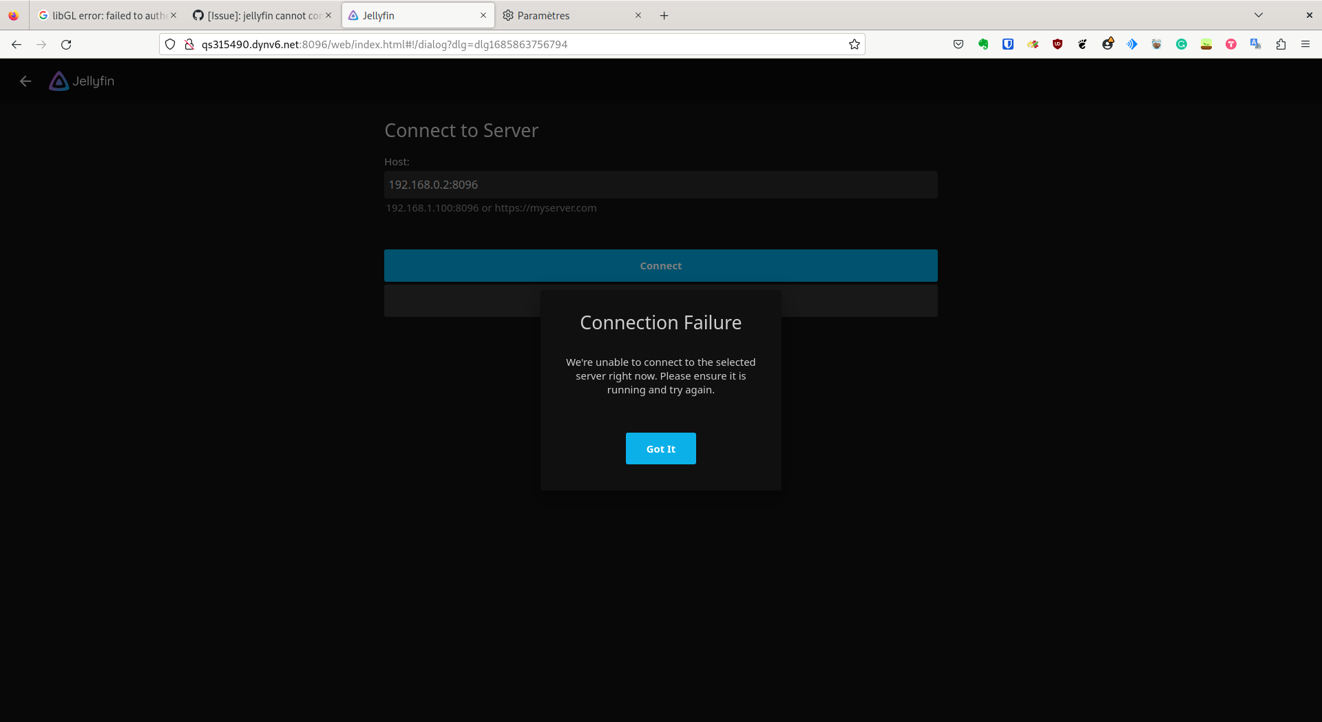 [Issue] IPv4 IP access to Jellyfin that is not defined on the