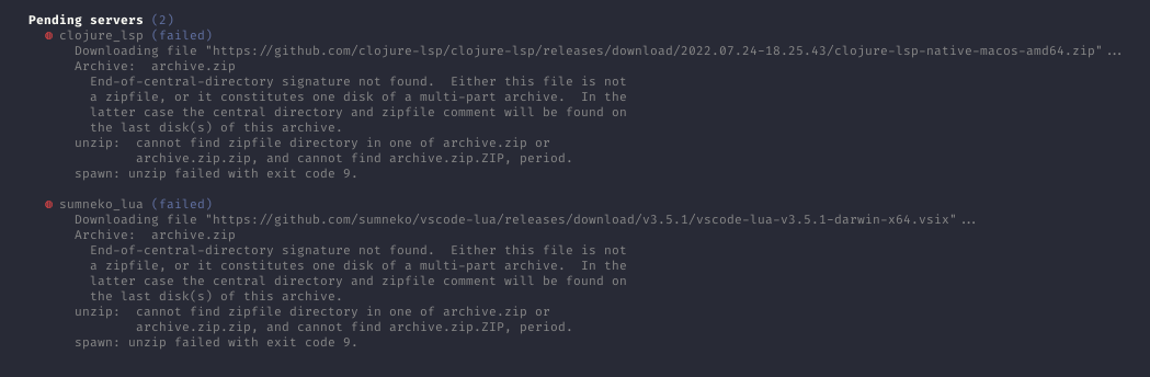 Can't to install any lsp server · Issue #40 · LunarVim/Launch.nvim · GitHub