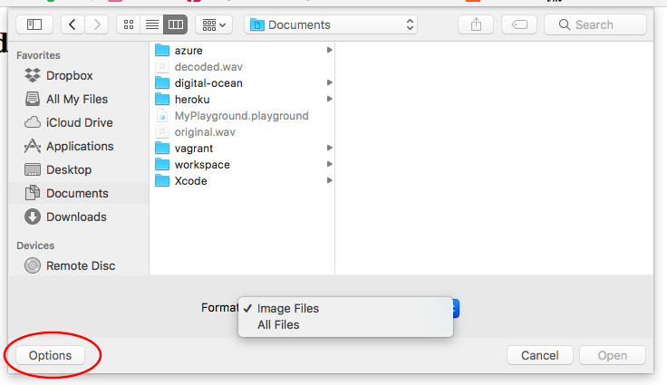 chrome-file-open