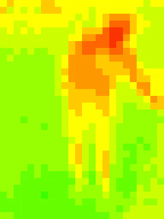 Body