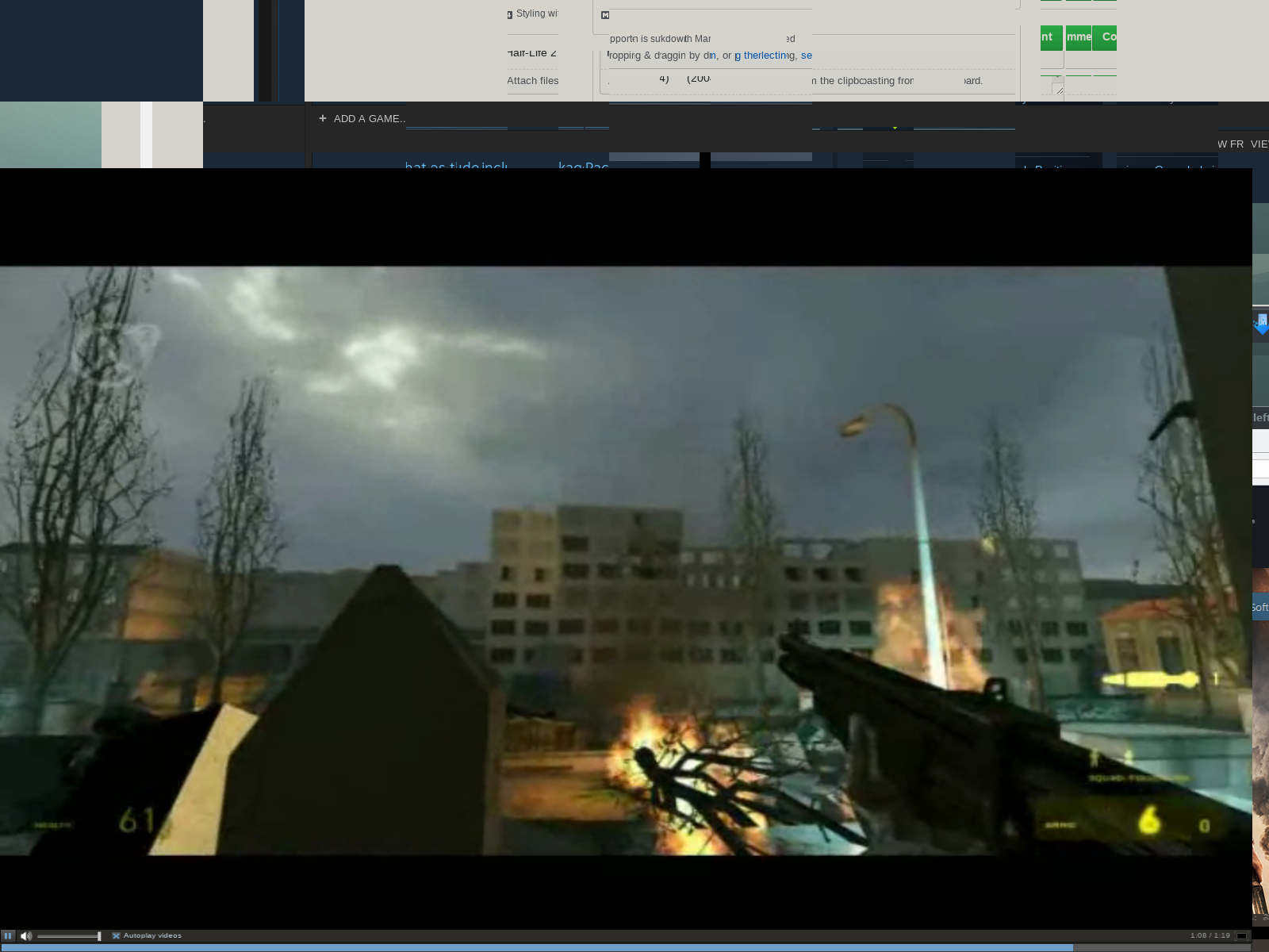 steam_fsvideo_bug
