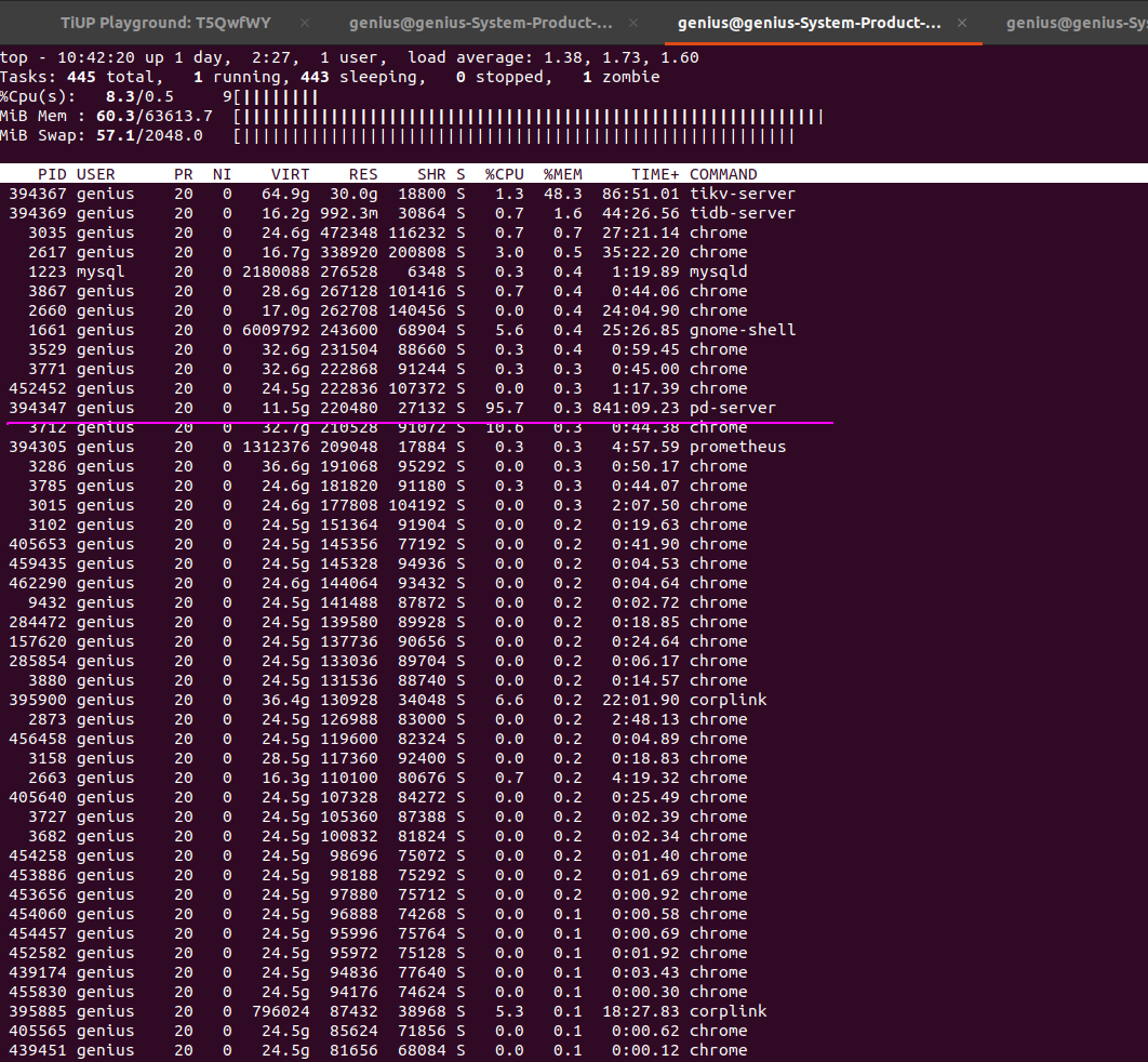 PD CPU 100% on an idle cluster · Issue #4920 · tikv/pd · GitHub