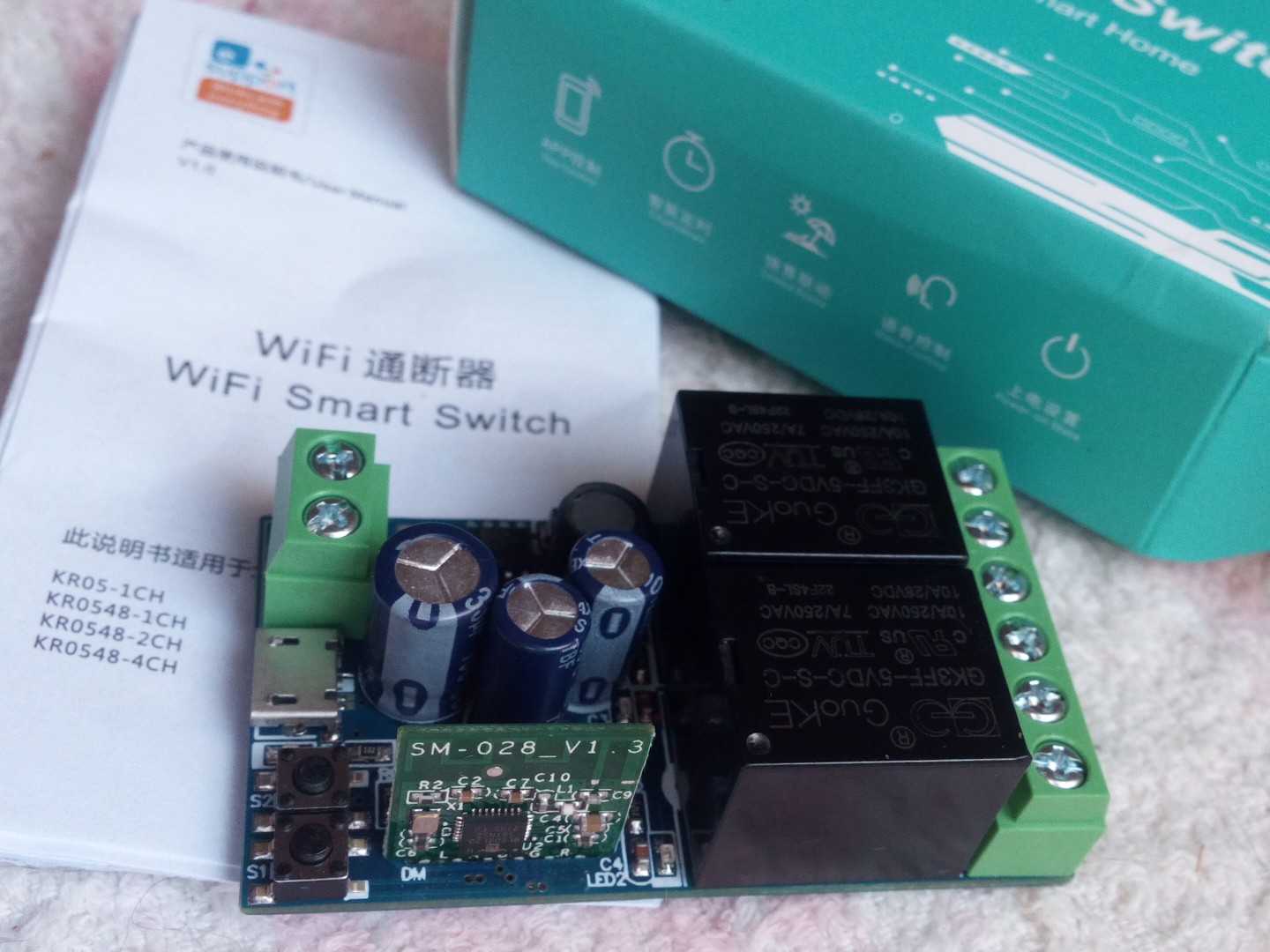 WiFi DIY dual Switch