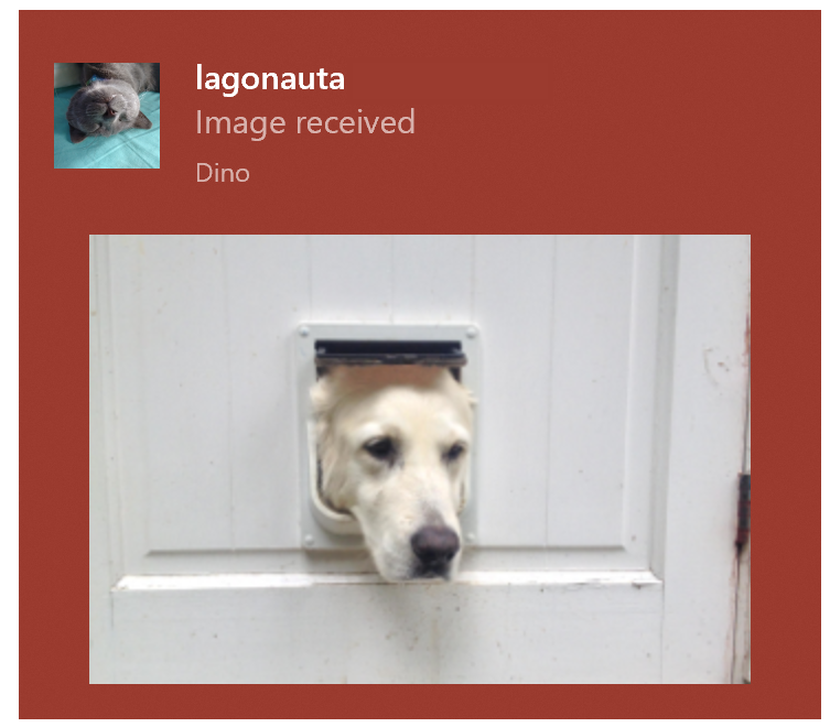 5d285e15-2dc7-4a5e-a77a-6e40a0b8fc28