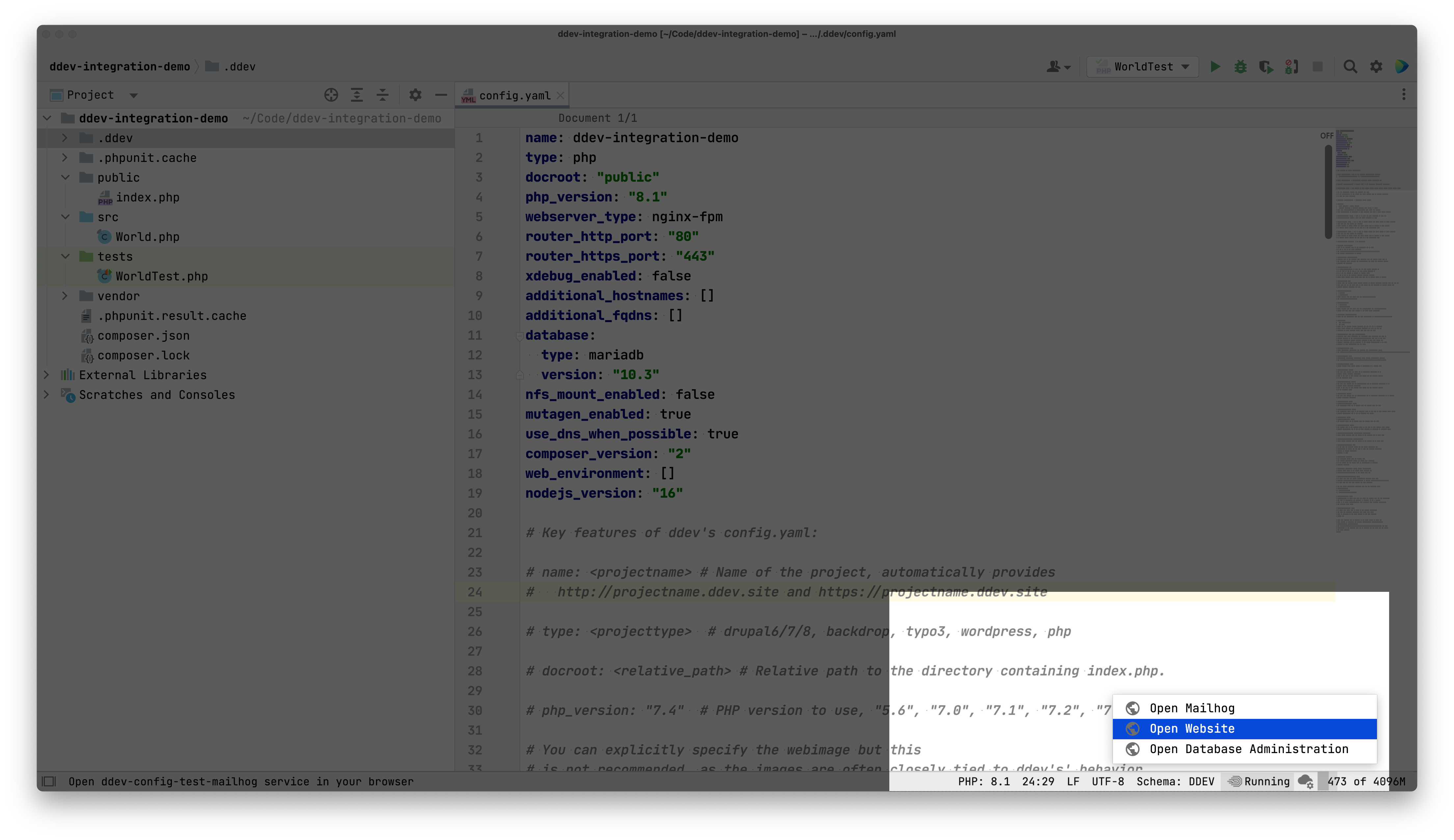ddev-services zoom