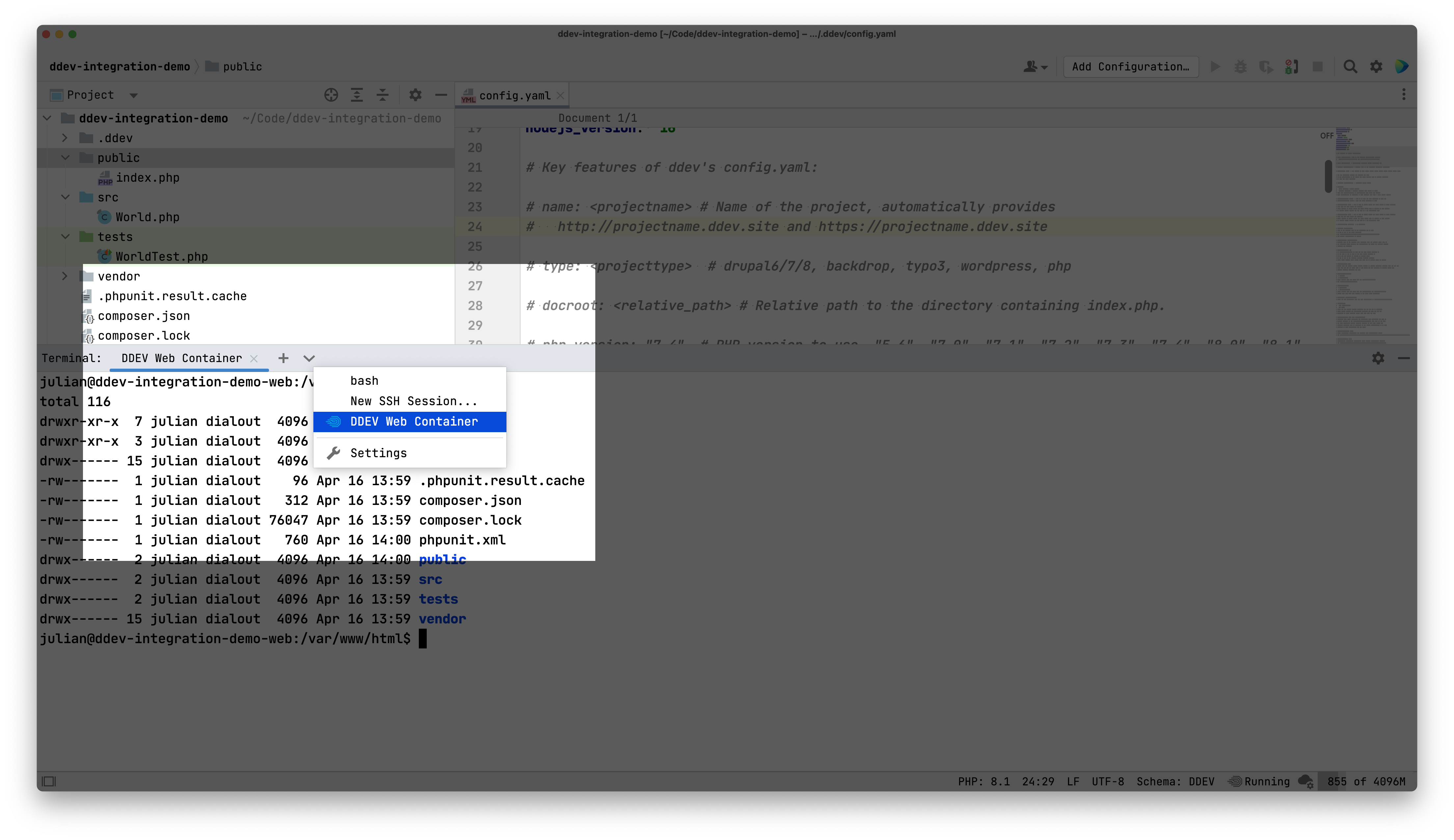 ddev-terminal zoom