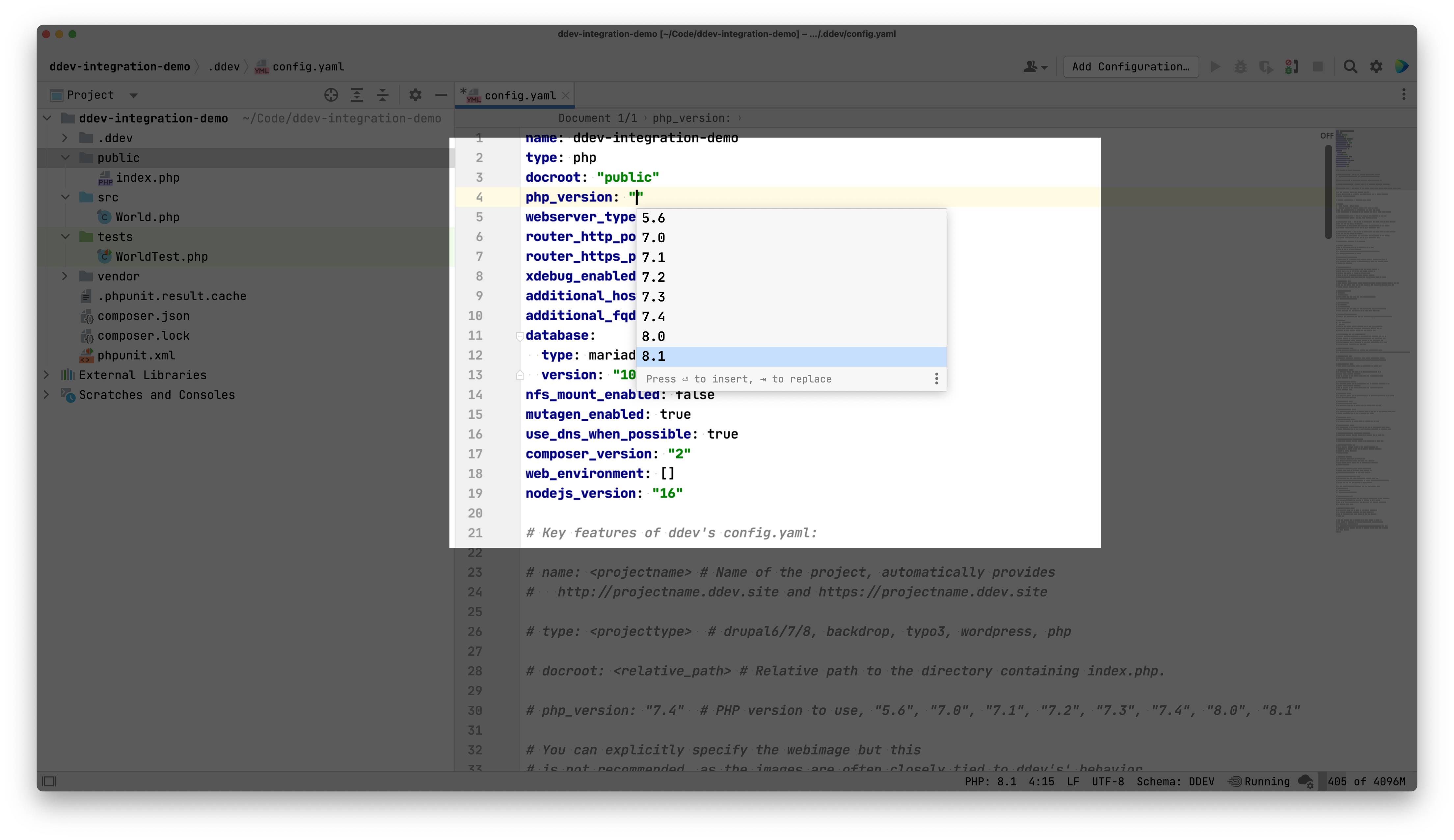 ddev-autocompletion zoom