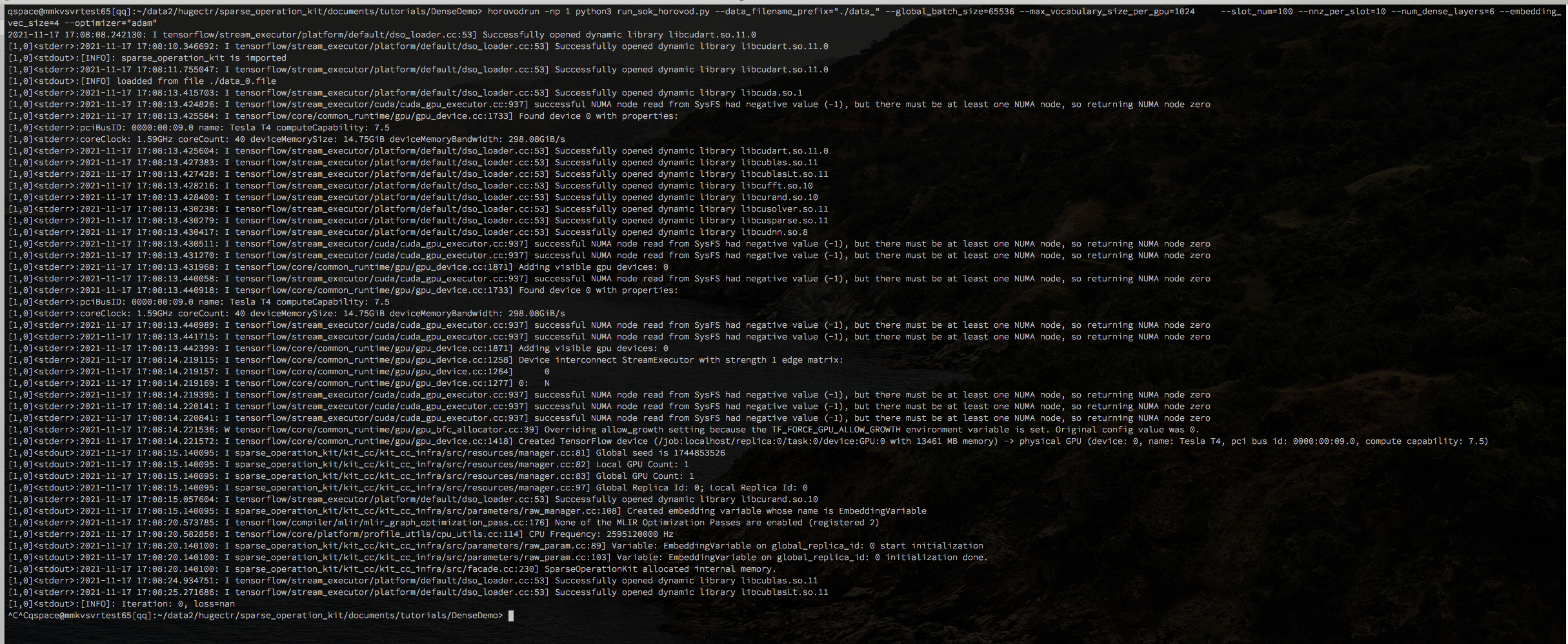 [BUG] sok produces nan under horovod · Issue #268 · NVIDIA-Merlin ...